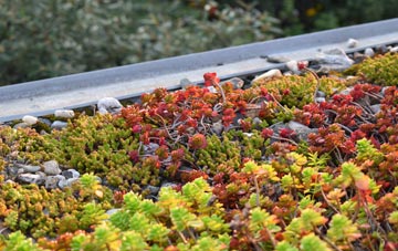 the cost of Coneythorpe green roof installation