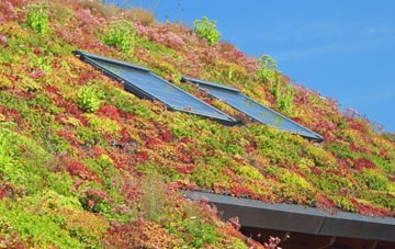 Coneythorpe living roof systems