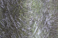 Coneythorpe fibreglass roof work